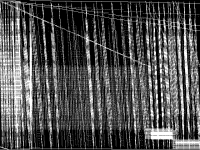 clpD source composite image