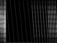 tsai4-junqueira CCM image