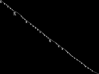 d250_23_alternative CCM image