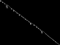 d500_06_alternative CCM image