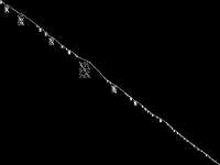 d500_14_alternative CCM image