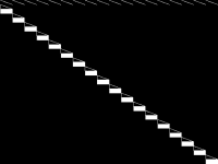 2-plex_covering_dolphins CCM image